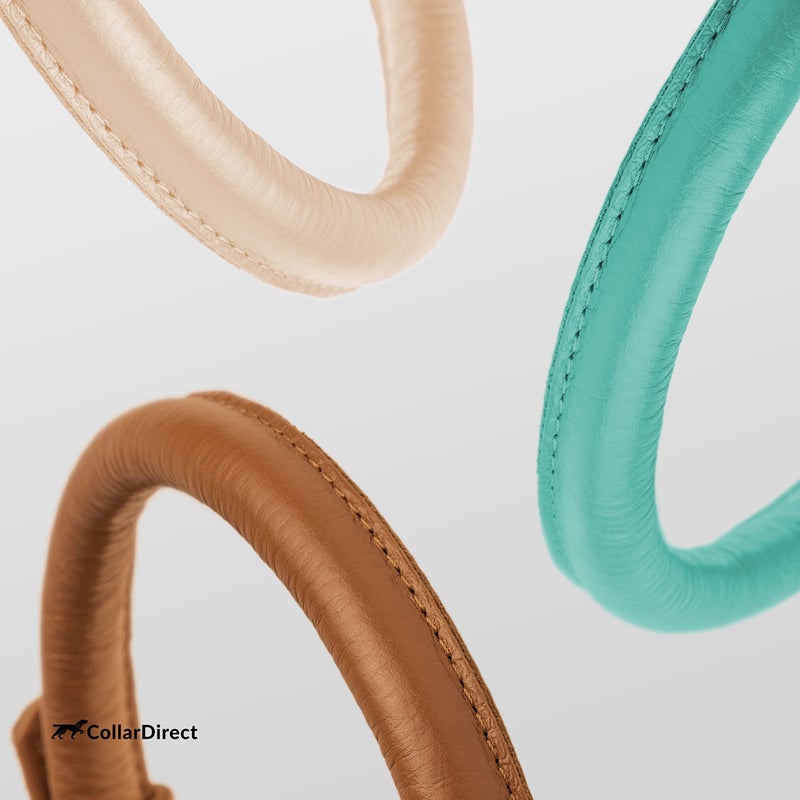 CollarDirect Rolled Leather Dog Collar, Soft Padded Round Puppy Collar, Handmade Genuine Leather Collar Dog Small Large Cat Collars 13 Colors (6-7 Inch, Mint Green Textured) - Image 5